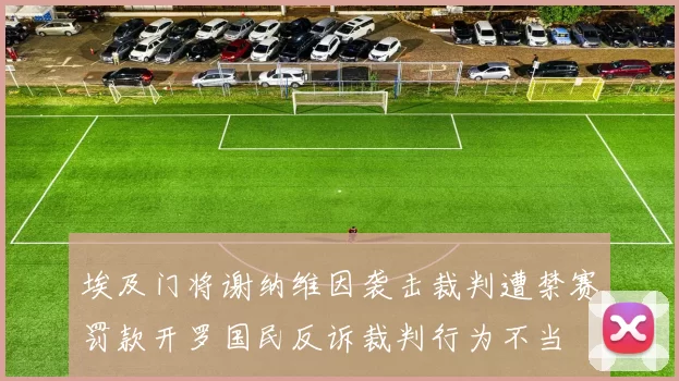 埃及门将谢纳维因袭击裁判遭禁赛罚款开罗国民反诉裁判行为不当