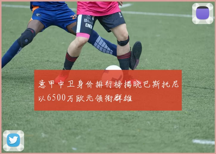 意甲中卫身价排行榜揭晓巴斯托尼以6500万欧元领衔群雄