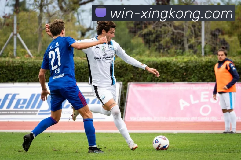 多媒体互动体验