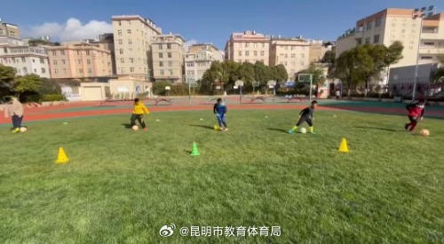 津琴科具有