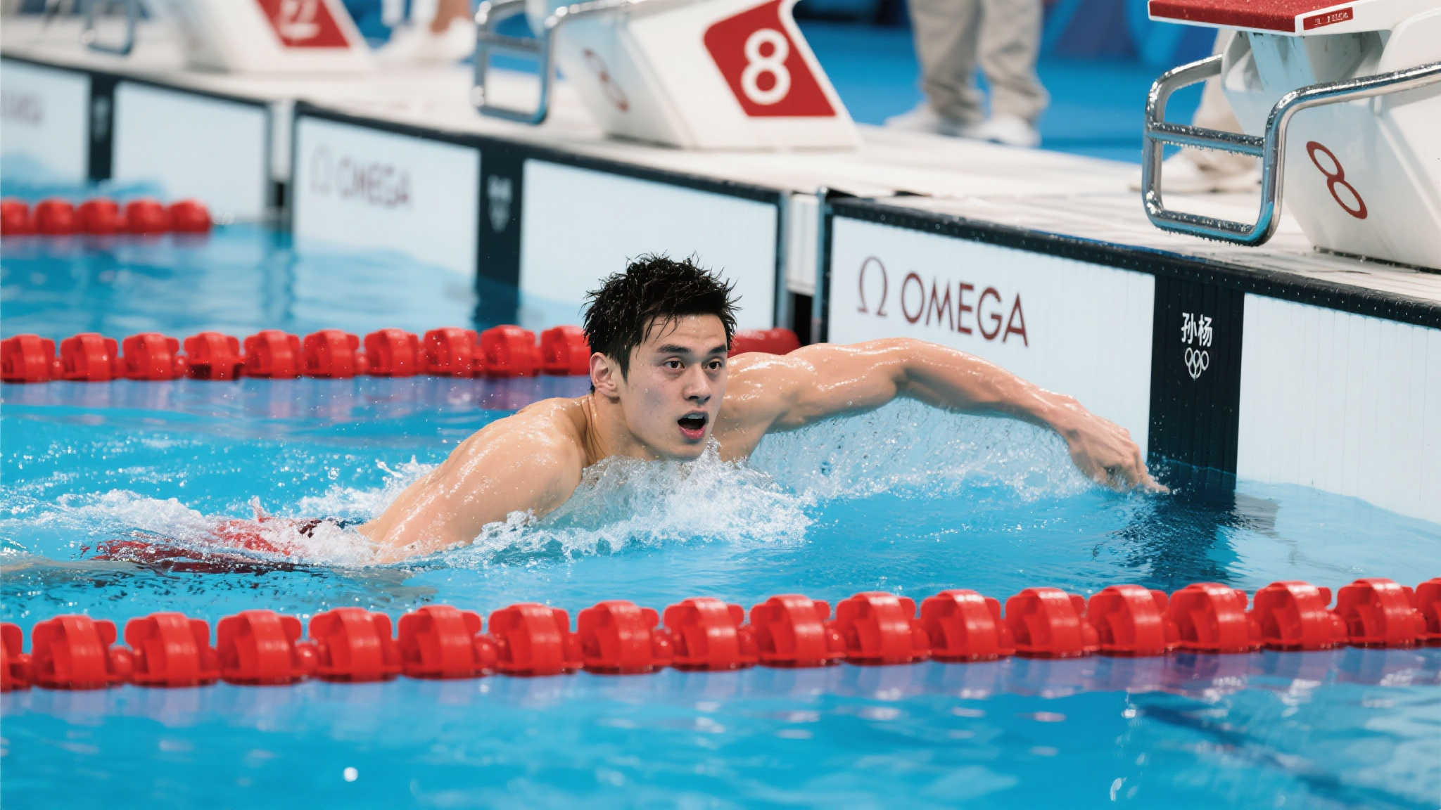 展开了激烈 展开了激烈